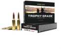 Manufactured To Nosler's Strict Quality standards, Trophy Grade Ammunition uses Nosler Custom Brass And Nosler Bullets To Attain Optimum Performance, No Matter Where Your Hunting Trip Takes You. Wheth...