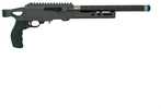 Action Type: Semi-Auto Barrel Length: 12.5'' Capacity: 10+1-Round Cartridge: AFF_22 Long Rifle Finish: Gray Front Sight: None Length: Na Magazine Included: 1 x 10-Round Magazine Type: Removable Make: ...