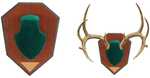 Allen Antler Mounting Kit - Green Skull