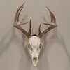 Allen EZ Mount Skull Peg Hook Black