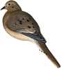 Features:	2 Unique and True Life-Like postures	Comes complete with eyelet&nbsp;tree clip and stakes system for field use	Only dove decoy on the market with all 3 options	Incredible paint detail and du...