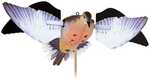 Replacement wings for your Avian-X Powerflight Decoys. WINGS ONLY.