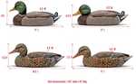 Rig&rsquo;Em Right&rsquo;s Mainline Series&nbsp; Mallards are built for the die-hard waterfowler looking for a hardworking decoy with beautiful life-like realism. Boasting tough durable and flexible E...