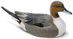 Rig&rsquo;Em Right&rsquo;s Mainline Series&nbsp;Pintails are built for the die-hard waterfowler looking for a hardworking decoy with beautiful life-like realism. Boasting tough durable and flexible EV...