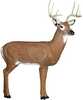 GlenDel Full-Rut Buck offers the largest 3-D deer target you can get to simulate those large mid-western big bodied bucks poly fusion technology to increase target life and offer easy arrow removal re...