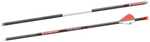 Bloodsport Punisher Arrow 300 Spine 6/Pk