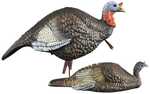 The Higdon Outdoors Jake and Jill&nbsp;Decoy Combo mimics a submissive hen posture that gobblers can't resist. Paired with our Quarter Strut Jake&nbsp;decoy creates a deadly combination that can&#...