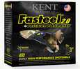 Features:High Performance Base WadAll Weather PerformanceOptimal Velocities for consistent patternsPrecision Plated SteelDesigned to function reliably in semi-automatic firearms...