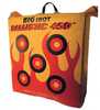 Big Shot Ballistic 450X Bag Target