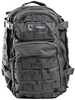 Drago Scout Backpack - Seal Gray