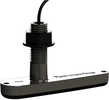 Raymarine CPT-110 Plastic Thru-Hull Transducer w/CHIRP & DownVision&#153; f/CP100 Sonar Module