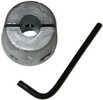 Aluminum Anode - 1/2" Diamater - Fits All ModelsFeatures:Recommended for use in salt waterSacrificial Aluminum Alloy Anode to protect against electrolysisAllen Wrench is includedOne size fits all The ...