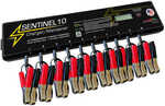 Sentinel 10 Charger/Maintainer&nbsp;Powerful - Charges and Maintains from 1 to 10 batteries simultaneously and independently Intelligent - Various algorithms allow you to choose the profile best suite...