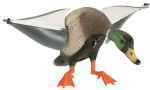 Expedite Rapid Flyer Duck Mallard Drake