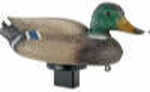 Edge Quiver Duck - Mallard Drake Realistic Design virtually Indestructible Built-In Magnet To Add ripples & mo