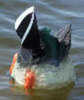Edge Flicker Tail Duck Butt Wind Activated - Section Flickers Back & Forth To Simulate Happy Added Motion