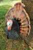 Flextone Turkey Decoy 1/4 Strut