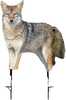 An excellent option for practically any hunter, theÂ Montana Decoy Song Dog CoyoteÂ was designed to be a natural looking way to lure your prey. A reliable hunting decoy is an efficient method to be su...