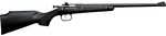 Keystone Crickett Synthetic Stock Rifle 22 Mag Black Blued Model: KSA2280
