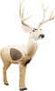 Replacement insert for the Rinehart Woodland Mule Deer target featurins self-healing solid FX foam and is compound and crossbow compatible.