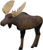 The Rinehart 1/3 Scale Woodland Moose Target offers real-life sculpted features featuring a solid FX foam body with a signature foam replacement insert. The target is 36" tall, 31" long and is both co...