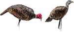 This package includes both Jake and Miss Purrfect XD decoys. They have been upgraded with an all new fabric that better replicates the natural iridescence of turkey feathers while still allowing it to...