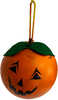 Real Wild Halloween Pumpkin Target Kit  Model: 3D