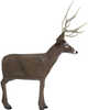 Delta McKenzie 1/3 Backyard Mule Deer Target;Constructed from E-Z Flex foam;Easy arrow removal;Perfect for archery clubs or backyard