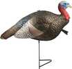 The Half Strut decoy offers deadly head and feather colors that is perfectly balanced to create motion with the slightest breeze on a super-fast, easy setup, two-piece motion stake.