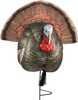 The Quarter Strutter offers deadly head and feather iridescent colors, collapsing and detachable fan set up that can be replaced with a real jake or tom fan. The quarter strut design is easy to hold w...