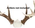 This do-it-yourself antler mounting kit allows you to display both shed antlers and cut-off antlers featuring all-metal construction, 360 degree antler base, ball rotation and can be wall or table mou...