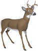 "The Flambeau Scrapper Buck Decoy is designed not to agitate or intimidate