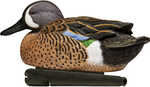 Topflight Blue-winged Teal recreate The Personality And Body Anatomy Of a Feeding Flock Of Teal. This species-based Pack caters To Hunters Who Know Exactly What They're after. Each Decoy Measures 10 i...