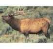 Delta Tru-Life Western Series Large Game - Elk