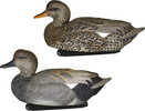 ZNK-ZNKDYGAW;Realistic life-size gadwall duck decoys;Weight-forward keel design for stability on the water;Front line-lock for consistent depth setting;Six-pack includes 3 drakes and 3 hens;Detailed h...