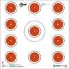 The EZ Aim Paper 11 Spot Target offers a 12 X 12, high contrast orange and white target face with 11 separate targets. These targets come in a convenient 13 pack.