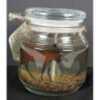 Jar Candle Is a Gel Style, fragranced With Birch And Pine, And features a Moose Standing In The Middle.