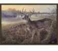 100% Nylon Construction Rug features a Trophy Class Whitetail Buck On Alert And His Subordinate cautiously entering The Field Of An abAndOned Farm. 37"X52" Rug Has Scotchgard Protection And a Non-Skid...
