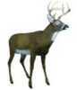 Realistic 120 Class 8-Point Buck features Twist Locking Leg System, limbs, Head, And Body All Fit Into Body Cavity For Ease Of Transport, Shoulder Strap Attached Between Chest And Hind quarters To Car...