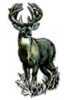 Decal depicts a Boss Whitetail Buck Standing On Alert. Full Color Design.