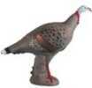 Tom Turkey 3-D Target That stAnds 25" Tall And Measures 30" From The Tip Of Beak To The Tip Of It's Tail. There Is a replaceable Core Available, But Not a sTocked Item.