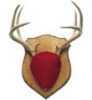 Antler Mounting Kit Includes a Solid Oak Plaque And a Red Velvet-coveRed Skull Cap.