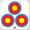 Exciting And Cost Effective Alternative To Paper Targets, Self-healIng Foam Rubber Construction, Durable & Weather Resistant, With a 17" X 17" Surface Area, Arrowmat Targets Will Conveniently Attach T...
