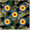 Exciting And Cost Effective Alternative To Paper Targets, Self-healIng Foam Rubber Construction, Durable & Weather Resistant, With a 17" X 17" Surface Area, Arrowmat Targets Will Conveniently Attach T...