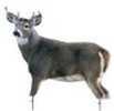 Montana Whitetail Buck Decoy 37"X48"