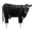 Montana Moo Cow Decoy 57"X42" Turkey