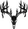 European Skull, Double droptine Buck Decal, Standard Size, Most Run Between 4"--6" By 3"--6", Made For Outside Of Window.