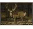 Rug features The Last Glance Mule Deer Scene. 100% Nylon Construction With Scotchgard Protection And Non-Skid Foam Backing.