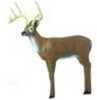 Lifelike 3D target with replaceable vital made from self-healing foam. Height: 40", Length: 43", Depth: 10".