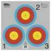 Official NFAA Vegas target face with gray background. Printed on 100 lb. tag stock. Dimensions: 17"x17".